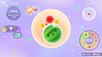 Suika Game Planet