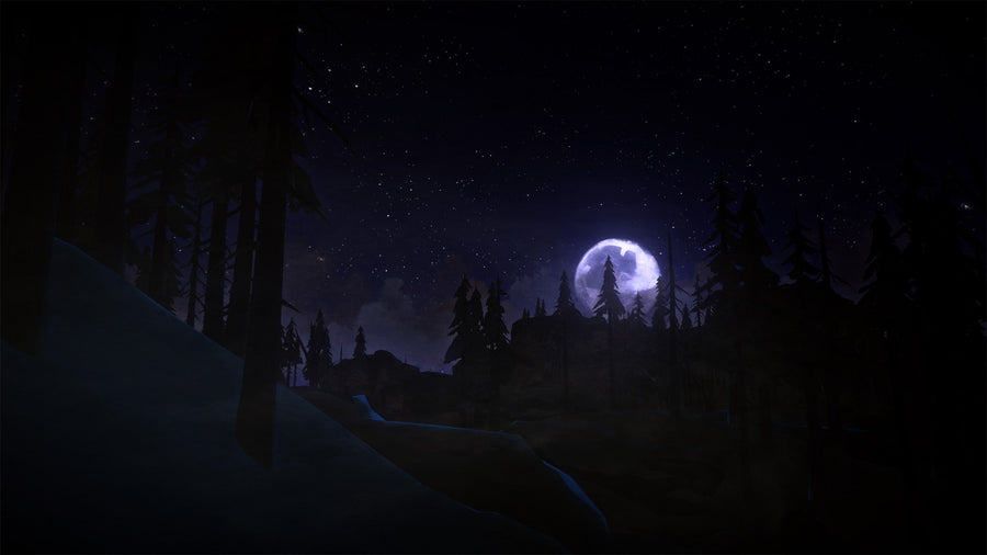 Captura de juego de The Long Dark - PS4 - imagen 4