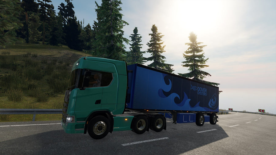 Captura de juego de Truck Driver - PS4 - imagen 4
