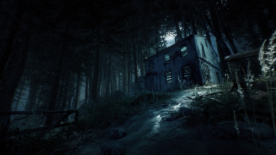 Captura de juego de Blair Witch - PS4 - imagen 2
