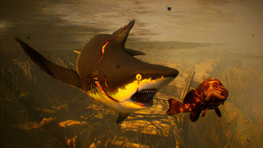 Captura de juego de Maneater - PS4 - imagen 2