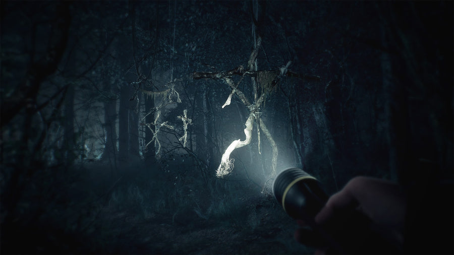 Captura de juego de Blair Witch - PS4 - imagen 4