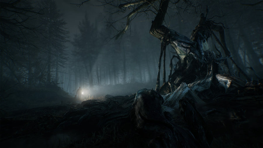 Captura de juego de Blair Witch - PS4 - imagen 3