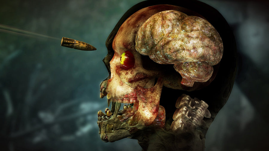 Captura de juego de Zombie Army 4: Dead War - PS4 - imagen 3