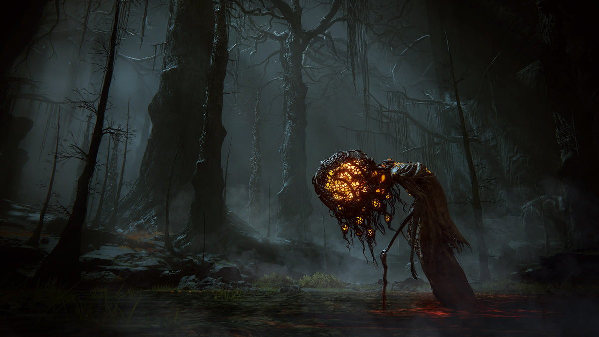 Captura de juego de ELDEN RING Shadow of the Erdtree Edition - PS5 - imagen 3