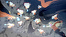 Captura de juego de NARUTO X BORUTO Ultimate Ninja STORM CONNECTIONS Deluxe Edition - PS4 - imagen 3