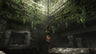 Captura de juego de Tomb Raider: Anniversary - PS5 - imagen 1