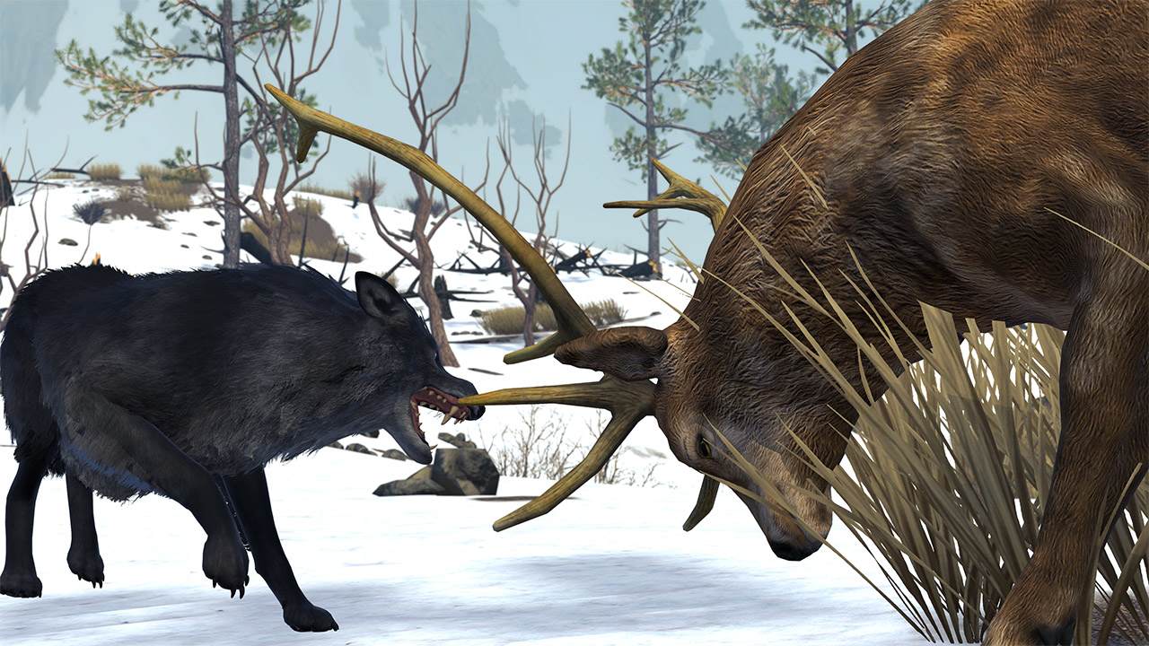 Wolf Simulator 2025: Wild RPG Survival
