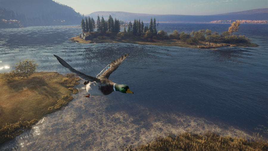 Captura de juego de theHunter: Call of the Wild - PS4 - imagen 4