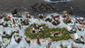 Captura de juego de Age of Mythology: Retold Premium Edition - PS5 - imagen 2