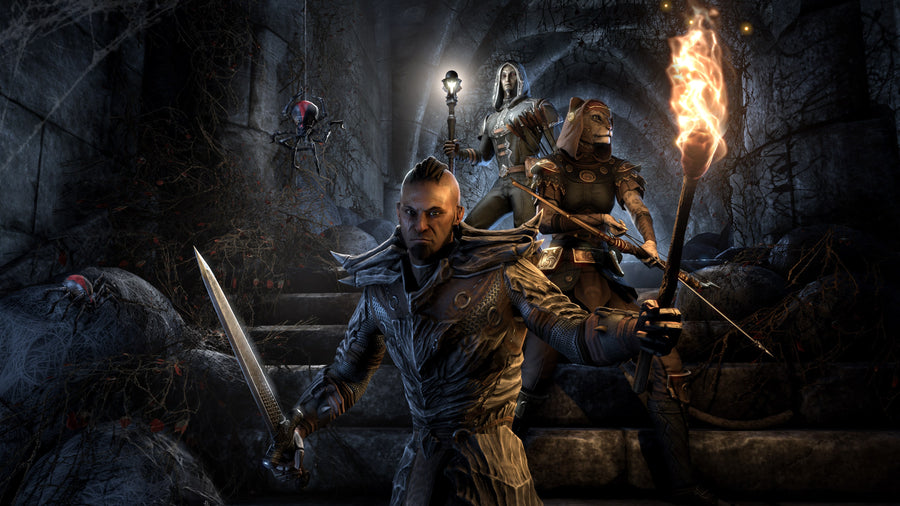 Captura de juego de The Elder Scrolls Online: Standard Edition - PS5 - imagen 5