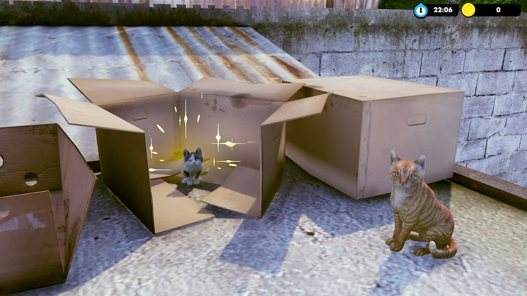 Little Strays