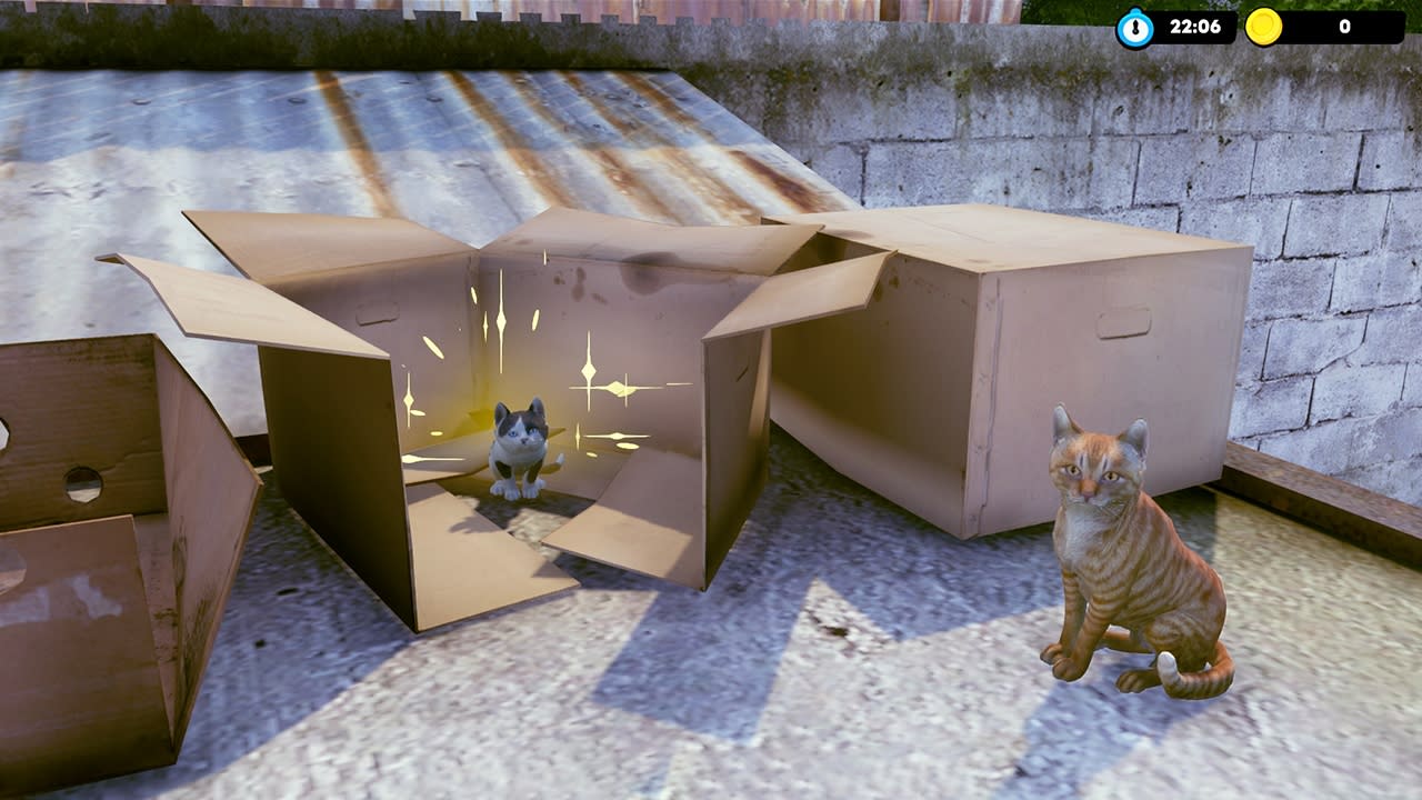 Little Strays