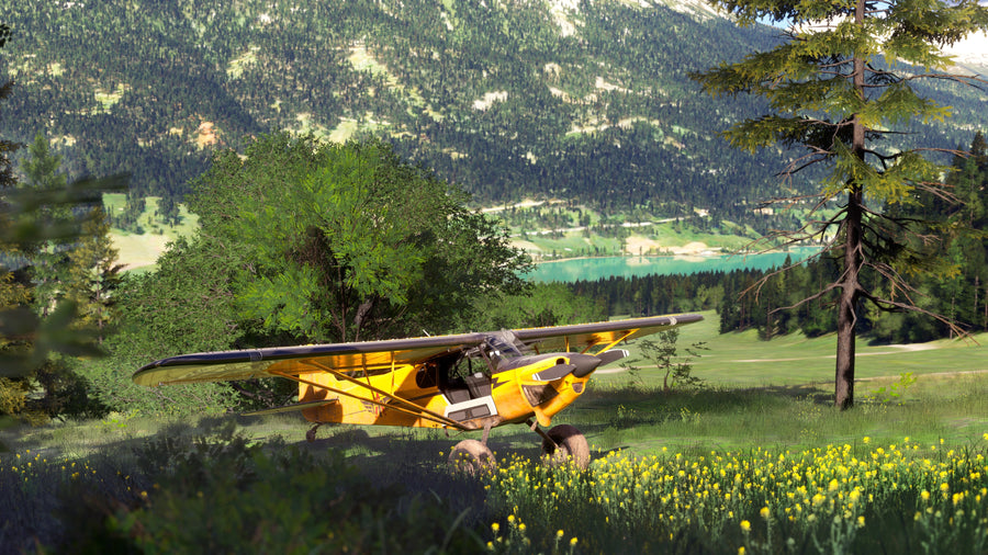 Captura de juego de Microsoft Flight Simulator 2024- Standard Edition - PS5 - imagen 4