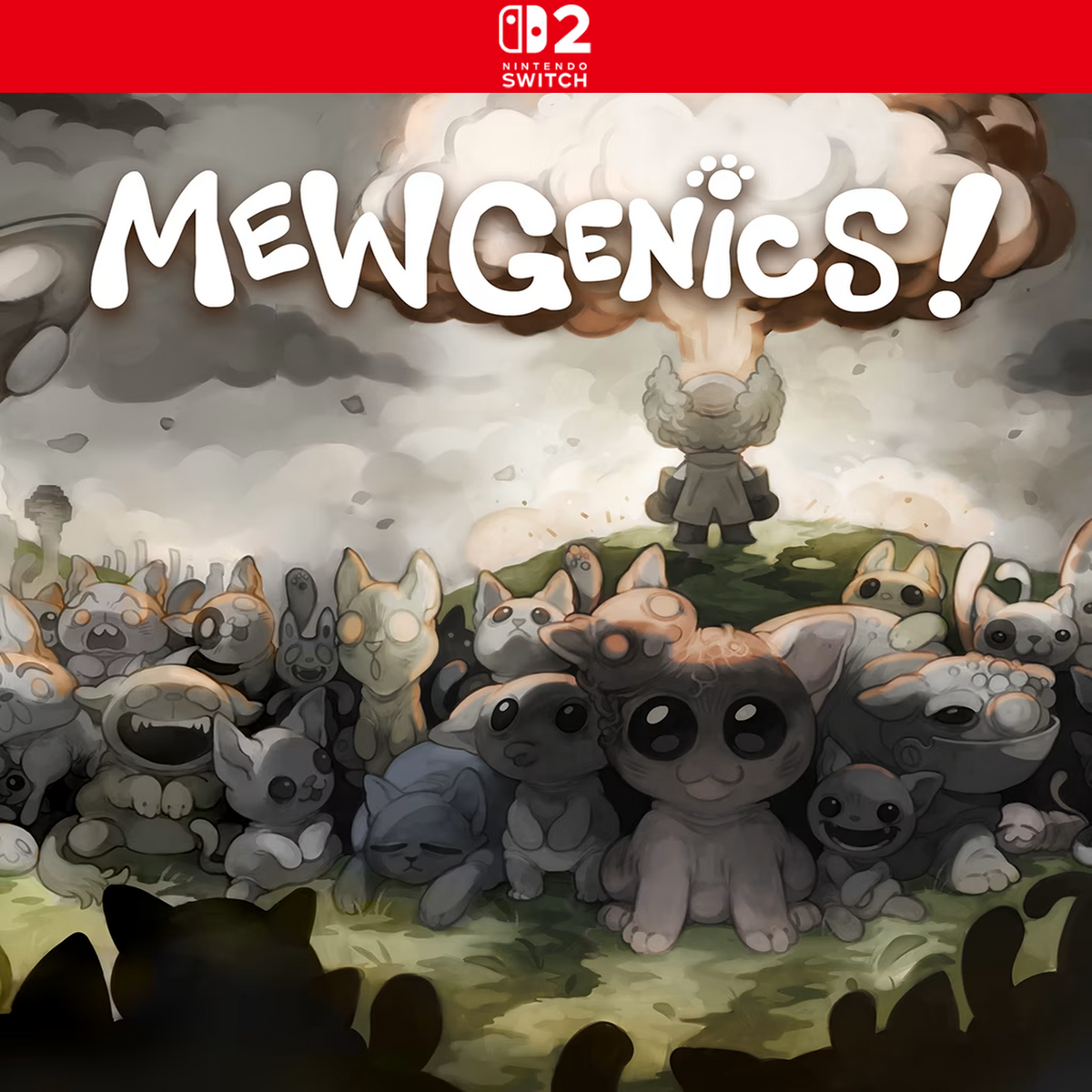 gamesops:nintendo:cover:296735:switch2