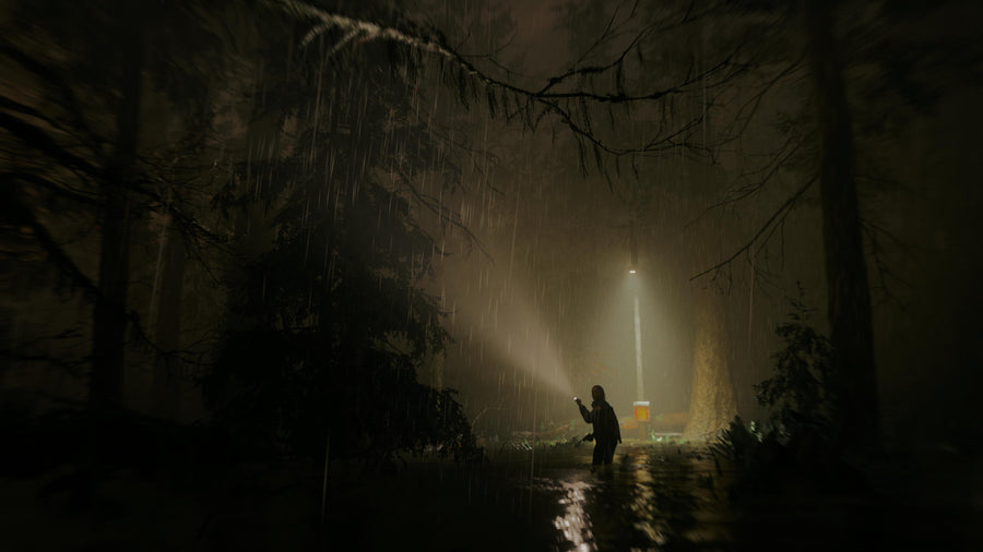 Captura de juego de Alan Wake 2 - PS5 - imagen 5