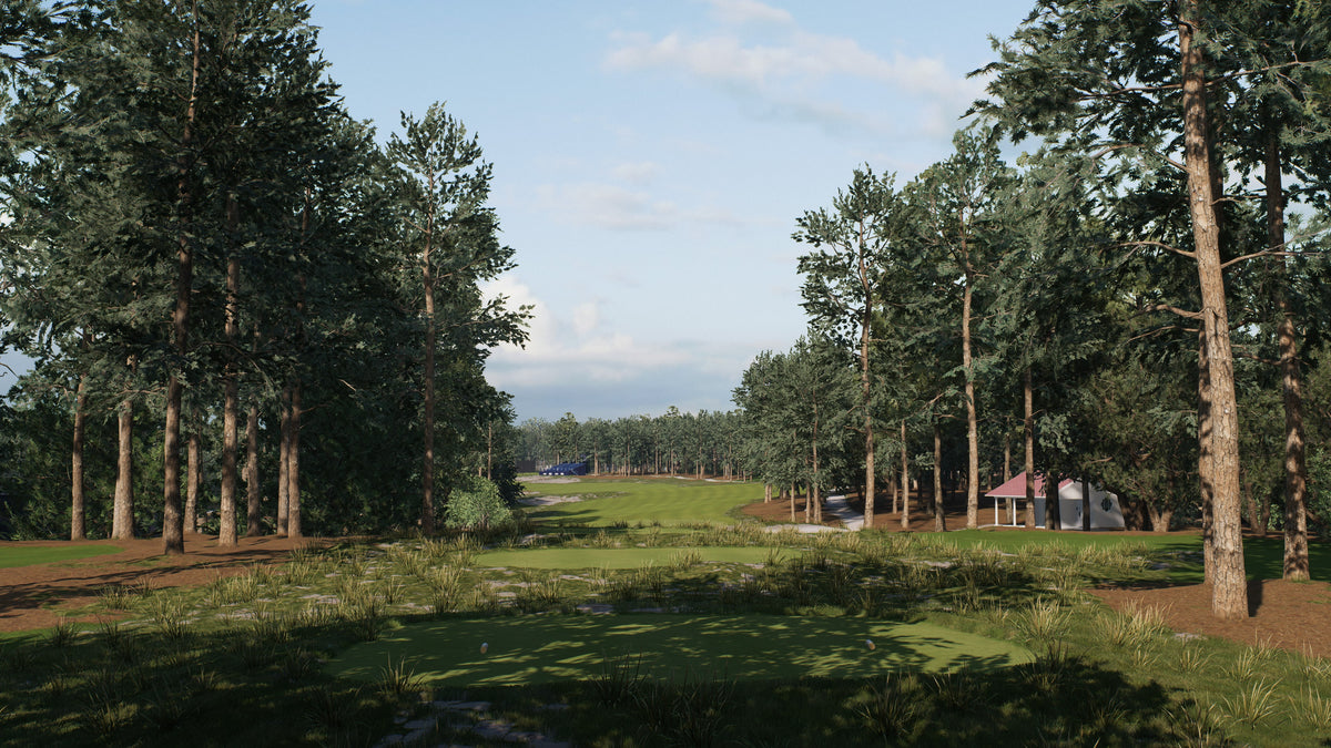 Captura de juego de EA SPORTS PGA TOUR Deluxe Edition - PS5 - imagen 3