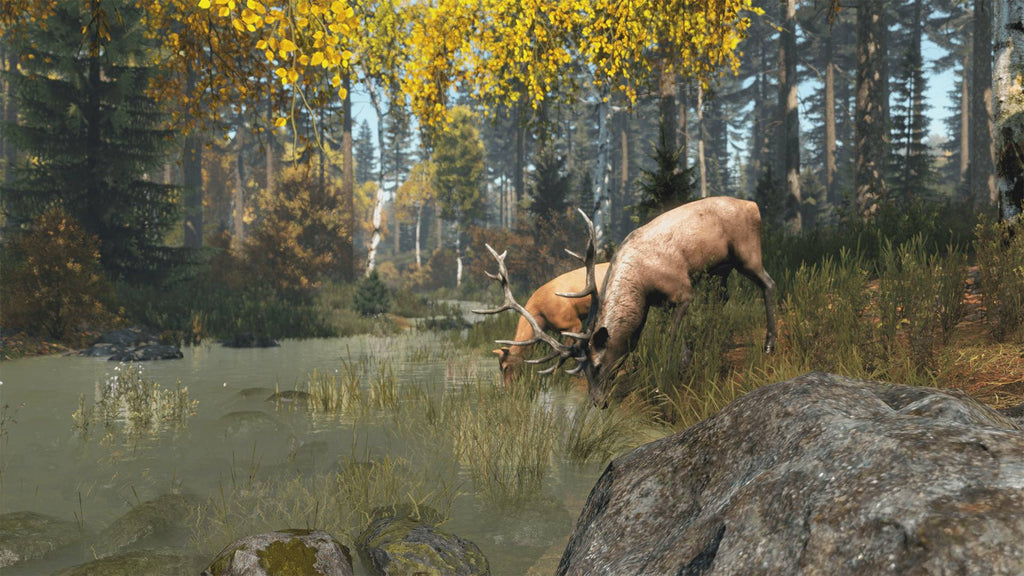 Captura de juego de DayZ: Cool Edition - Nintendo Switch 2 - imagen 6