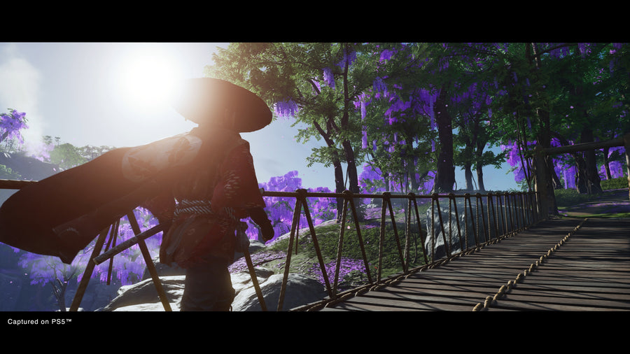 Captura de juego de Ghost of Tsushima DIRECTORS CUT - PS4 - imagen 1