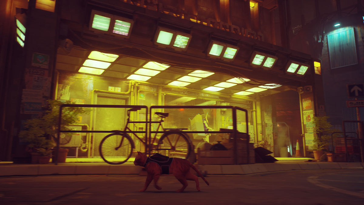 Captura de juego de Stray - PS5 - imagen 1