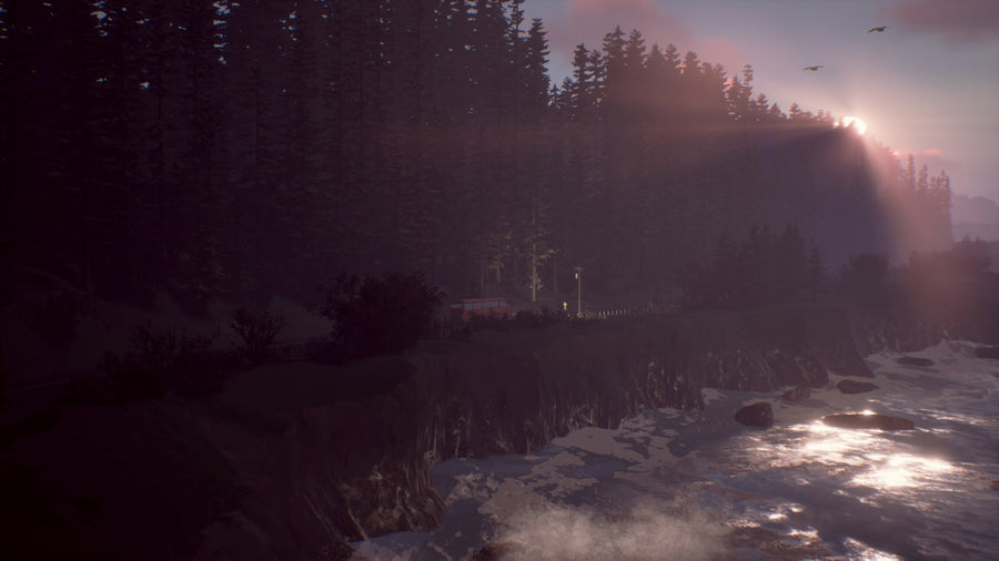 Captura de juego de Life is Strange 2 Complete Season - PS4 - imagen 3