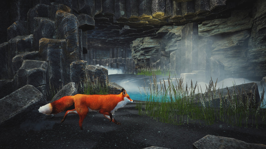 Captura de juego de Spirit of the North: Enhanced Edition - PS5 - imagen 3