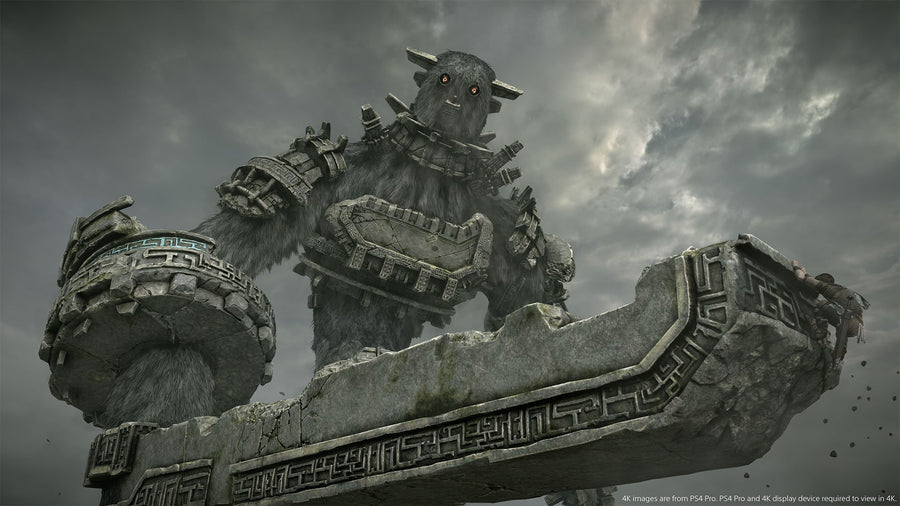 Captura de juego de SHADOW OF THE COLOSSUS - PS4 - imagen 1