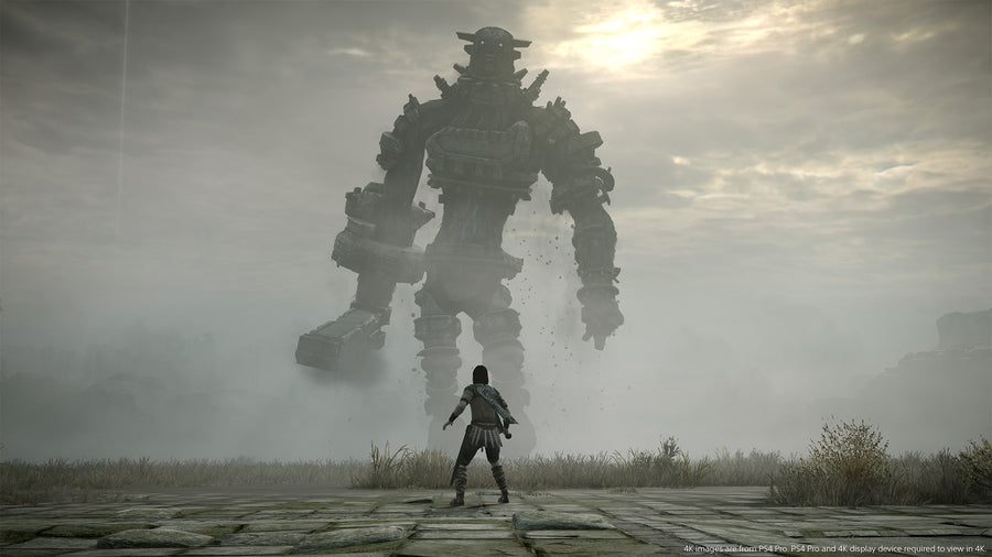 Captura de juego de SHADOW OF THE COLOSSUS - PS4 - imagen 2