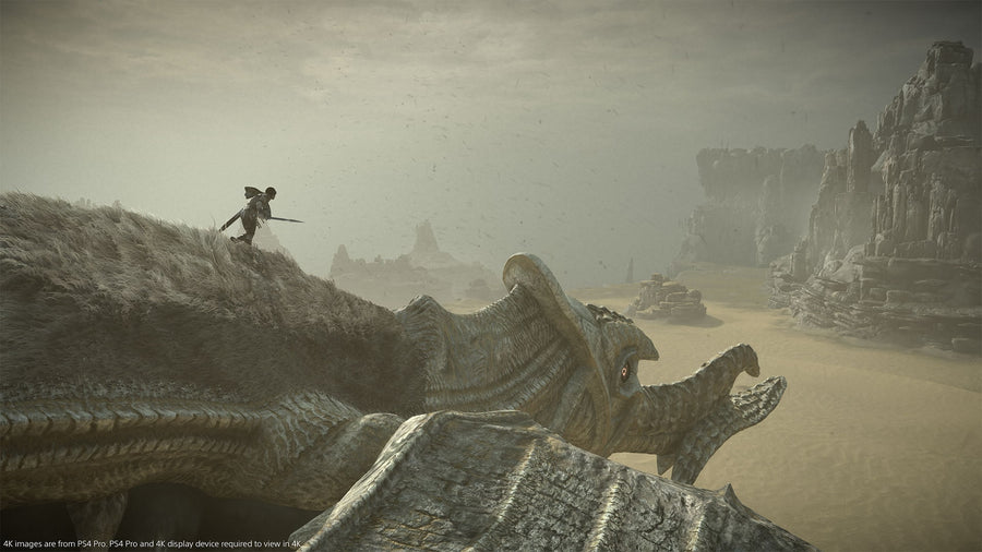 Captura de juego de SHADOW OF THE COLOSSUS - PS4 - imagen 3