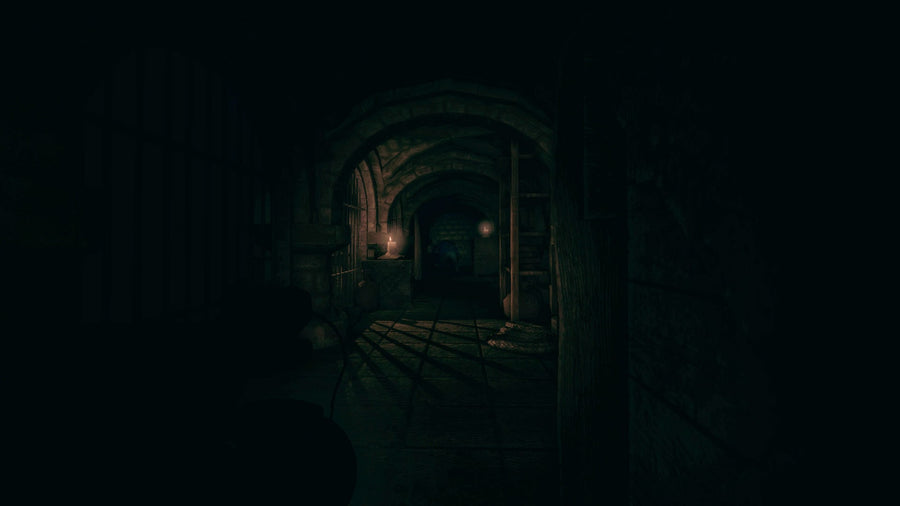 Captura de juego de Amnesia: Collection - PS4 - imagen 4