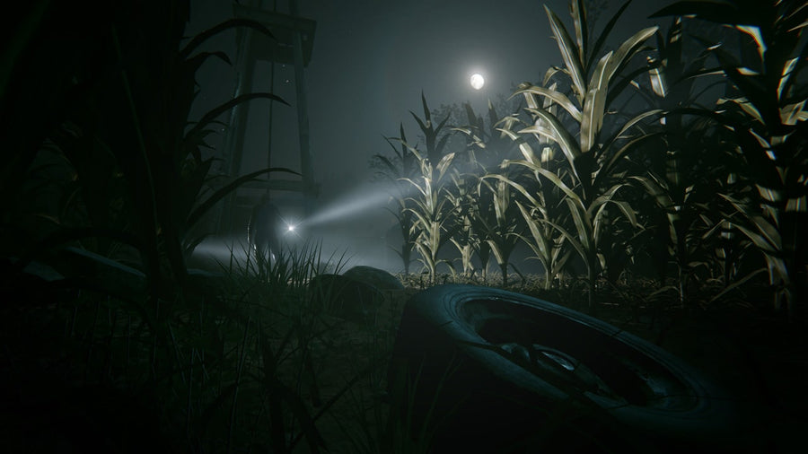 Captura de juego de Outlast 2 - PS4 - imagen 4