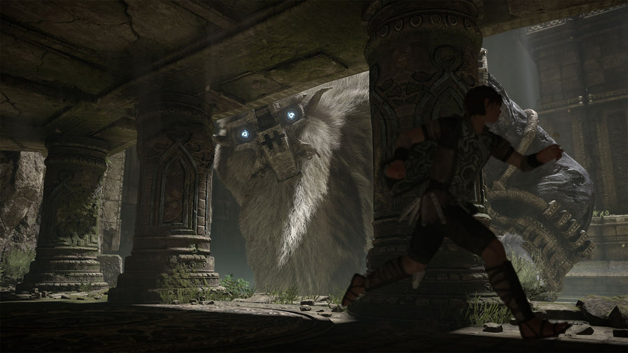 Captura de juego de SHADOW OF THE COLOSSUS - PS4 - imagen 4