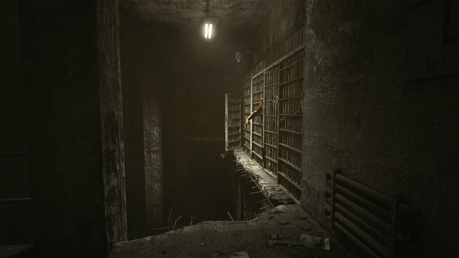 Captura de juego de Outlast - PS4 - imagen 4