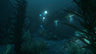 psmedia:81a4215cc8e3a478934e