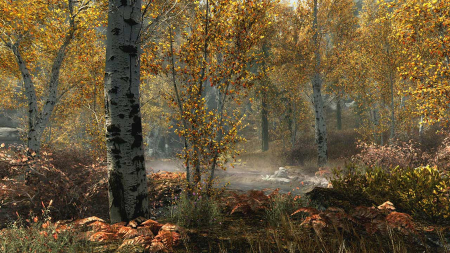 Captura de juego de The Elder Scrolls V: Skyrim Special Edition - PS4 - imagen 4