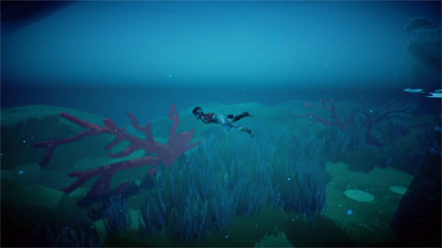 Captura de juego de RiME - PS4 - imagen 5