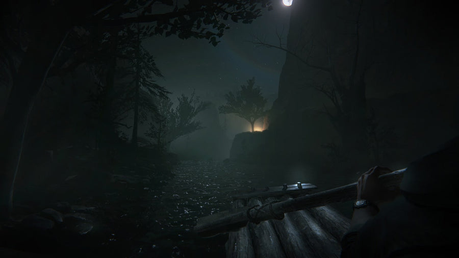 Captura de juego de Outlast 2 - PS4 - imagen 5