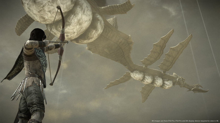 Captura de juego de SHADOW OF THE COLOSSUS - PS4 - imagen 5