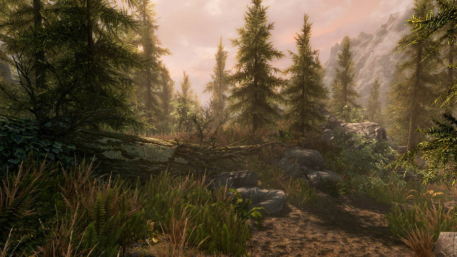 Captura de juego de The Elder Scrolls V: Skyrim Special Edition - PS5 - imagen 5