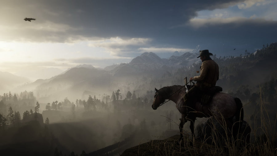 Captura de juego de Red Dead Redemption 2 - PS4 - imagen 4