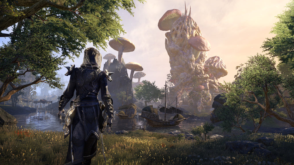 Captura de juego de The Elder Scrolls Online: Standard Edition - PS5 - imagen 1