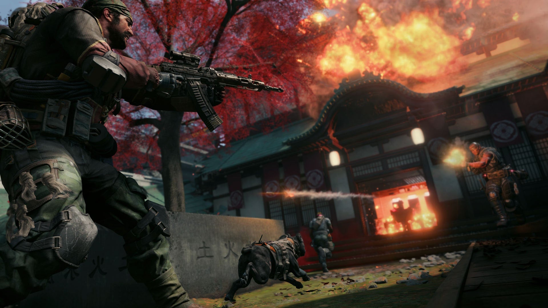 Captura de juego de Call of Duty: Black Ops 4 - PS4 - imagen 5