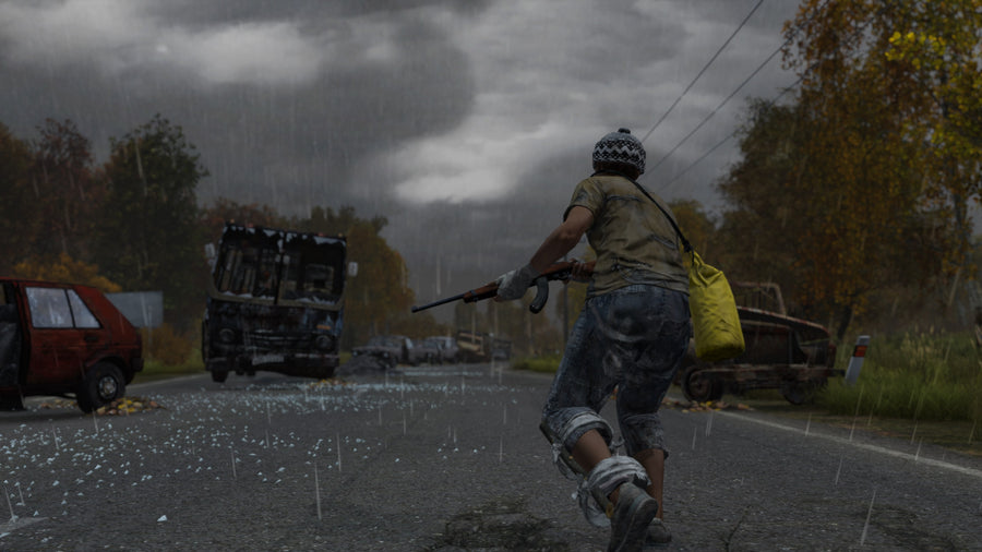 Captura de juego de DayZ - PS4 - imagen 1