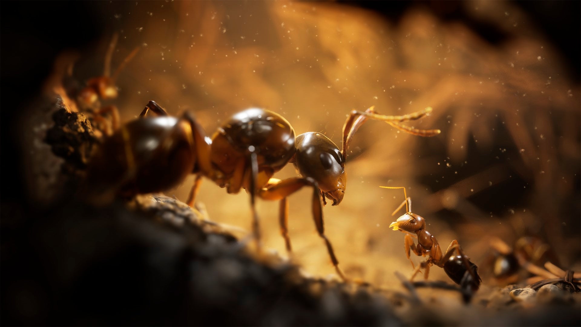 Captura de juego de Empire of the Ants - Xbox Series X|S - imagen 3