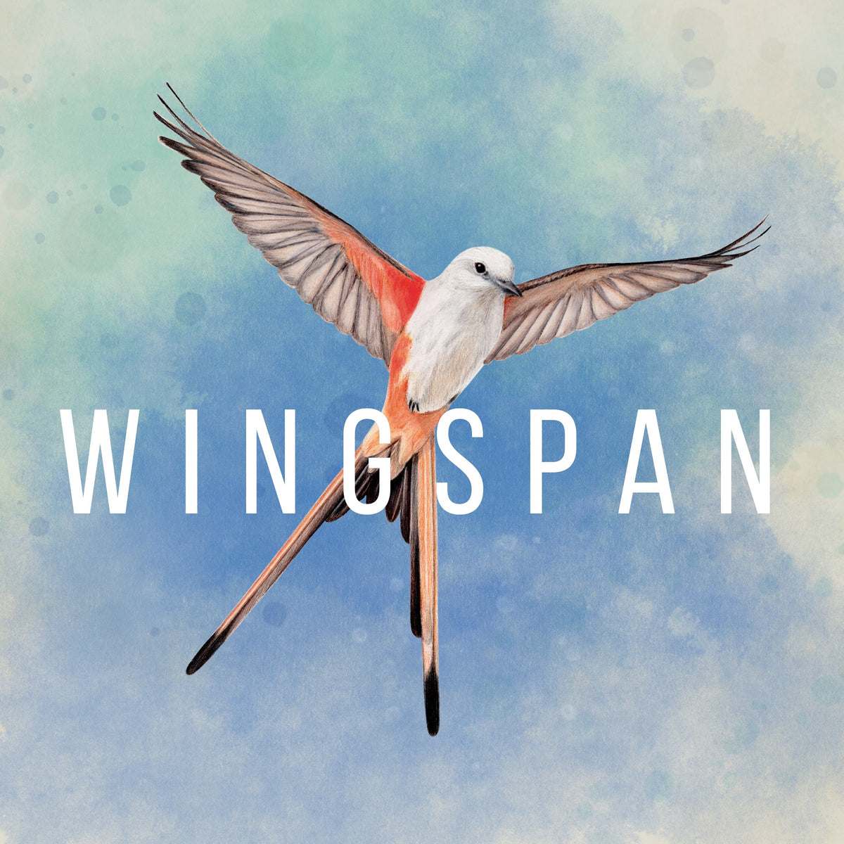 Captura de juego de WINGSPAN - Xbox One - imagen 1