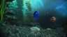 Captura de juego de Rush: A DisneyPixar Adventure - Xbox Series X|S - imagen 3