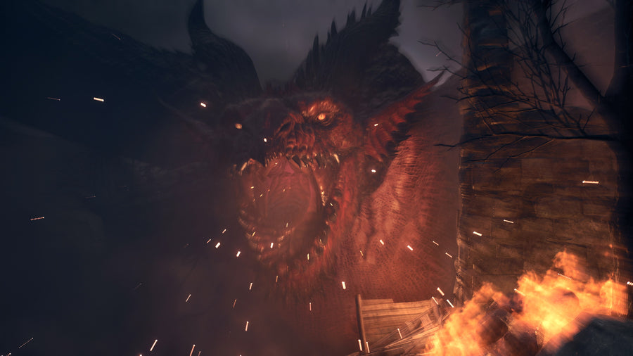 Captura de juego de Dragons Dogma 2 - PS5 - imagen 2