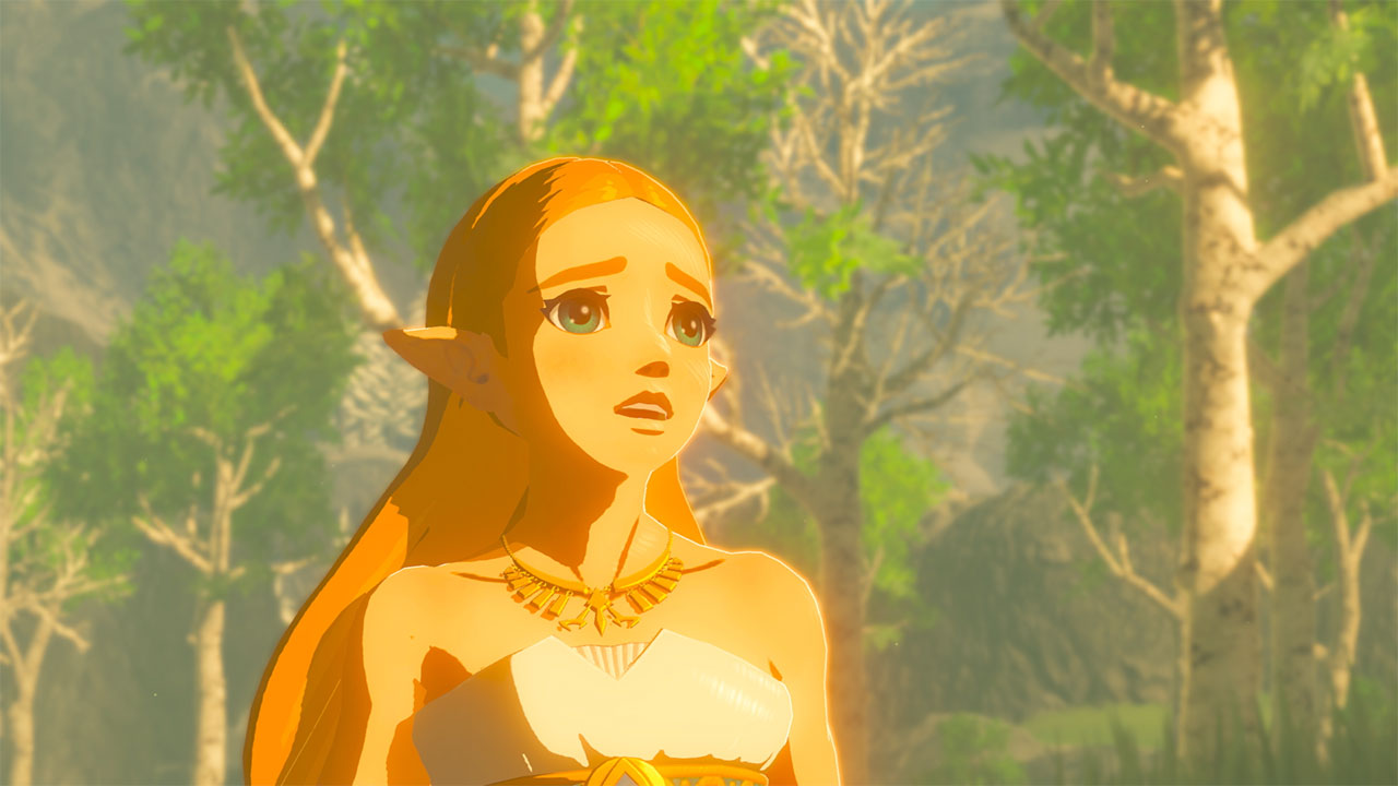 The Legend of Zelda™: Breath of the Wild