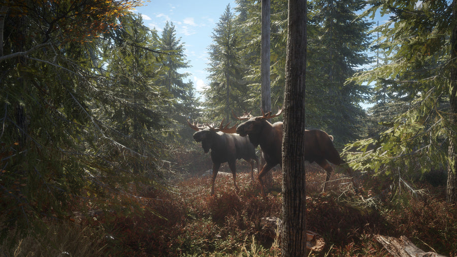 Captura de juego de theHunter: Call of the Wild - PS4 - imagen 1