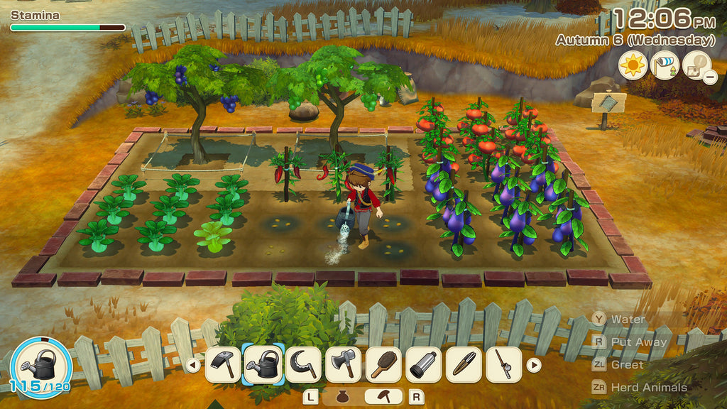 STORY OF SEASONS: Grand Bazaar – Nintendo Switch™ 2 Edition
